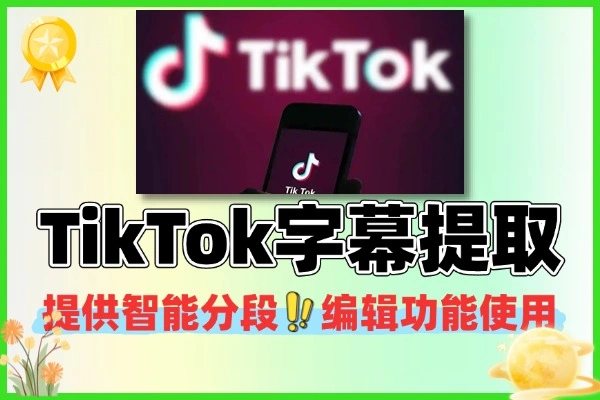 TikTok 字幕提取器工具