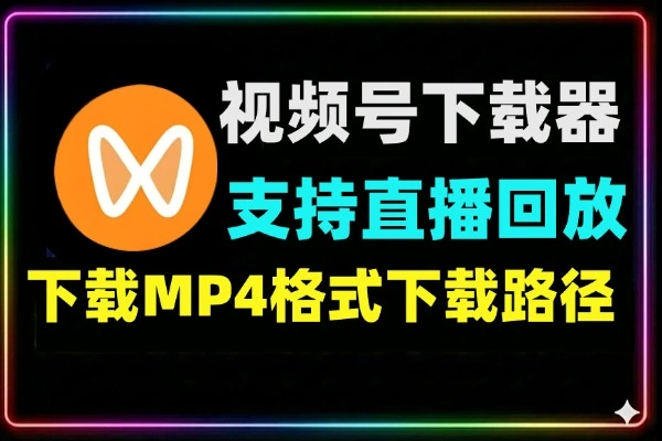 新版视频号视频下载工具 支持直播回放下载