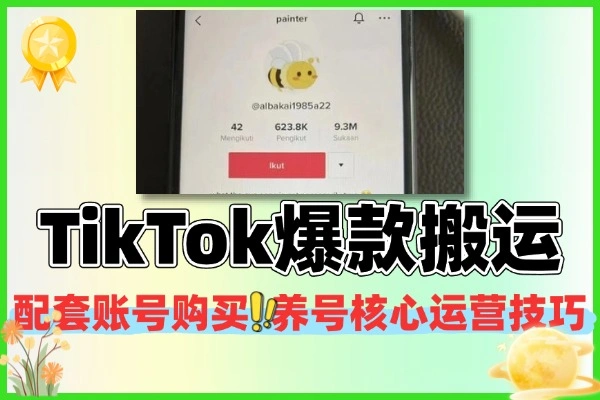 TikTok 爆款搬运课｜洗稿剪辑 + 账号运营全攻略，打通全球流量变现！