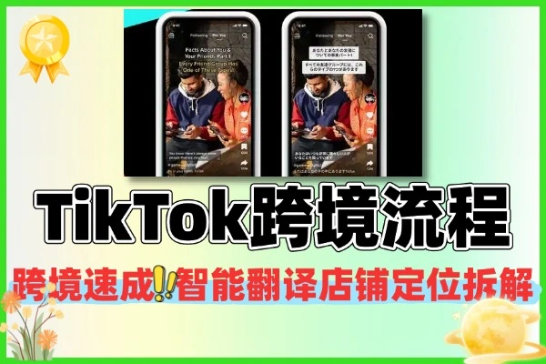 TikTok跨境电商速成课 智能翻译+店铺定位全拆解