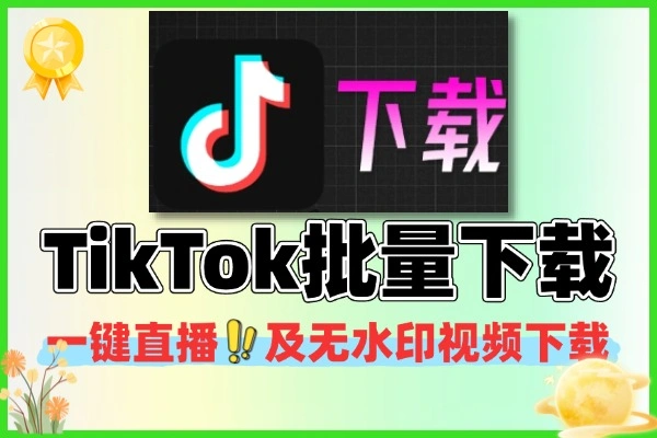TikTok 无水印下载神器，批量下载 + 评论 / 直播