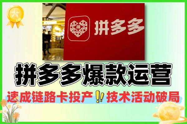 拼多多爆款速成技巧 卡投产运营技术活动破局
