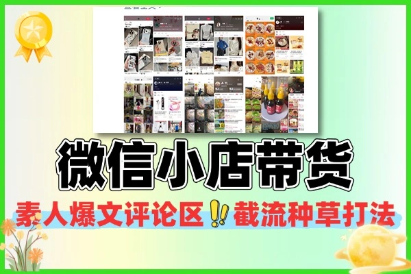 微信小店全域 IP 带货干货解析