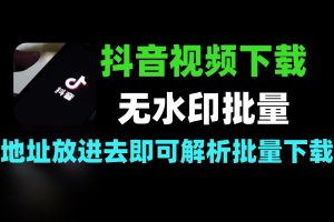 抖音视频无水印下载工具 批量解析下载