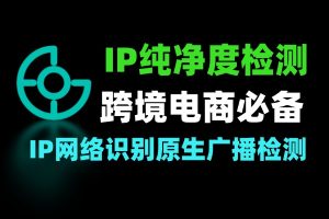 IPv4/IPv6及域名查询 IP风险评估工具