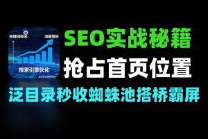 实战SEO秘籍：泛目录蜘蛛池搭桥 7天截流霸屏首页暴利词