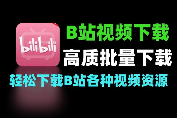 最新 B 站不限速下载工具 4K 画质批量保存