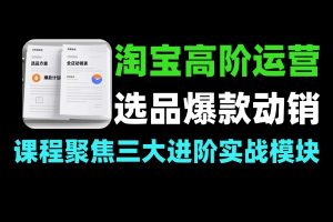 淘宝高阶运营课 选品爆款全店动销技巧