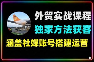 外贸AI矩阵实战课：账号搭建截流技术实现自动化获客