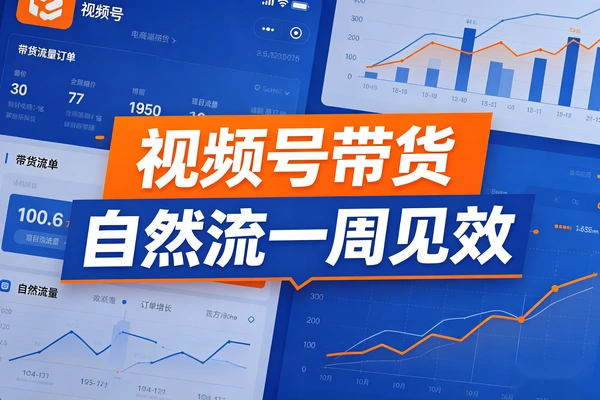 中老年视频号带货玩法 自然流实操 一周出效果