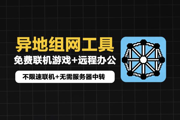 多功能异地组网工具，适配办公与游戏联机
